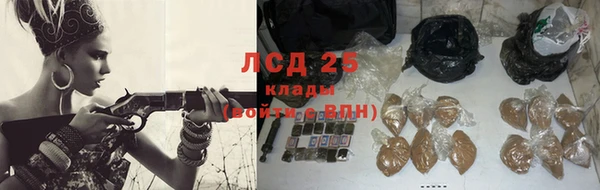 тгк Дмитровск