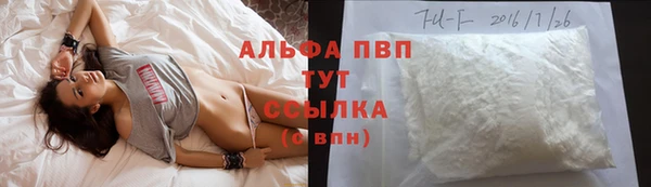 тгк Дмитровск