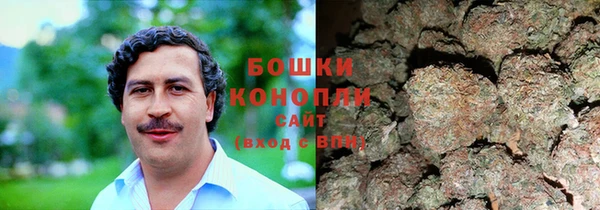 тгк Дмитровск