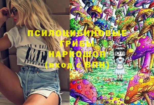 тгк Дмитровск