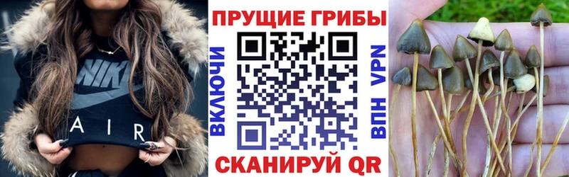 Псилоцибиновые грибы мухоморы  Воронеж 